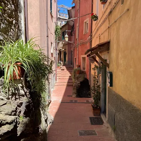 Apartment The Sweet Close To Castle- 19031 - Via Avenza Ameglia