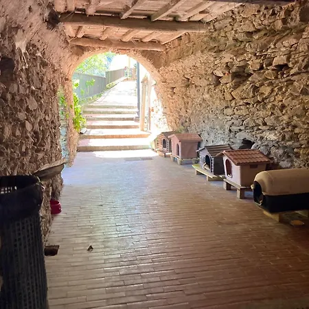 The Sweet Close To Castle- 19031 - Via Avenza Ameglia