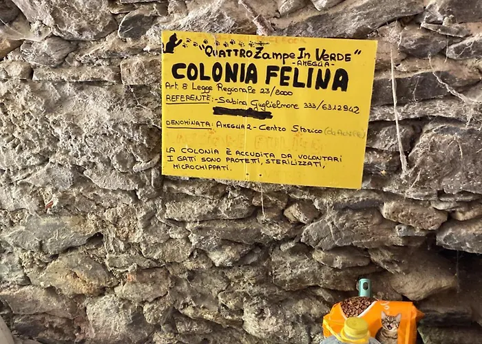Lejlighed The Sweet Close To Castle- 19031 - Via Avenza Ameglia