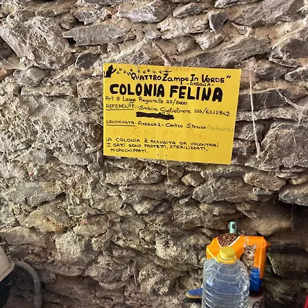 דירה The Sweet Close To Castle- 19031 - Via Avenza אמליה