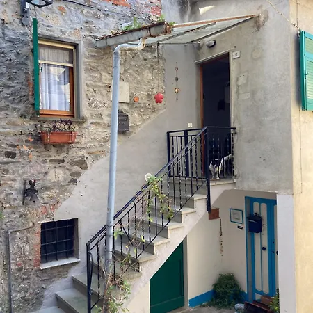 The Sweet Close To Castle- 19031 - Via Avenza דירה *